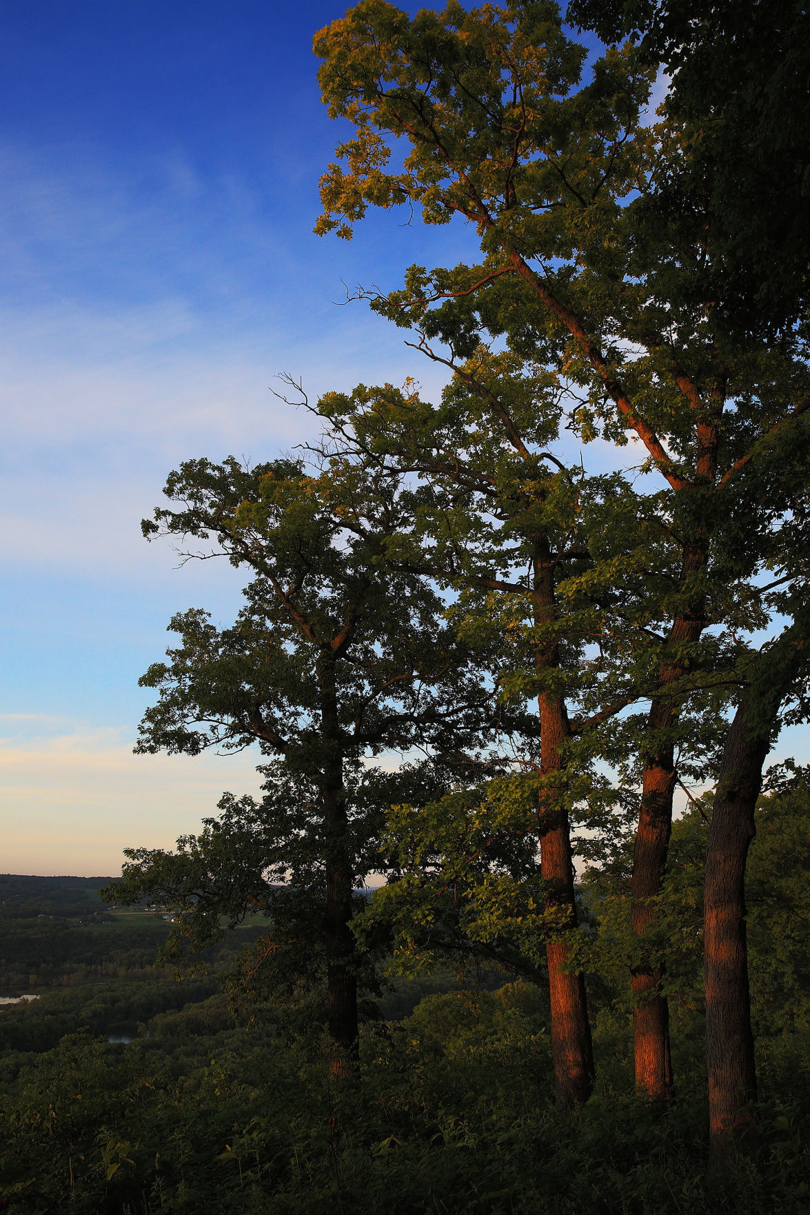 THE GREAT RIVER-0259